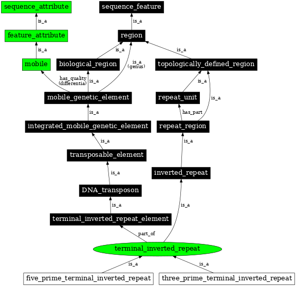 Graph image for SO:0000481