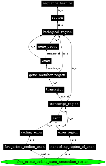 Graph image for SO:0000486