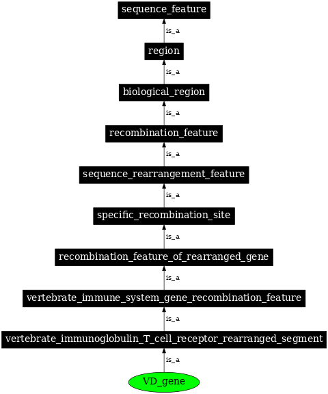 Graph image for SO:0000510