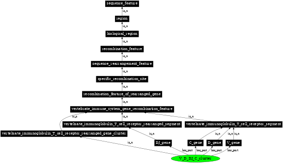 Graph image for SO:0000527