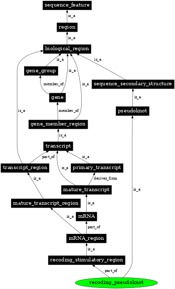 Graph image for SO:0000545