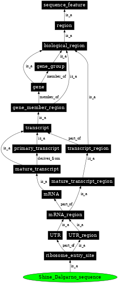 Graph image for SO:0000552