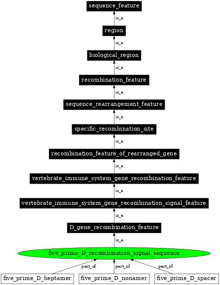 Graph image for SO:0000556