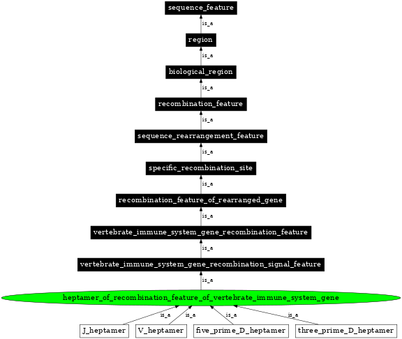 Graph image for SO:0000561