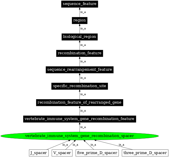 Graph image for SO:0000563