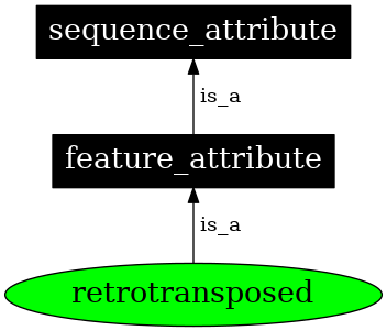 Graph image for SO:0000569