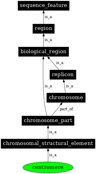 Graph image for SO:0000577