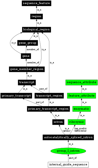 Graph image for SO:0000587