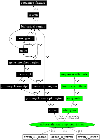 Graph image for SO:0000588