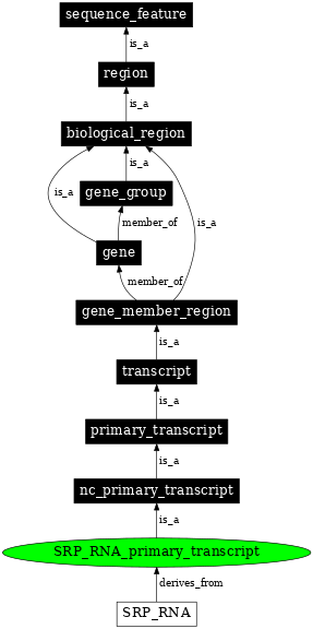 Graph image for SO:0000589