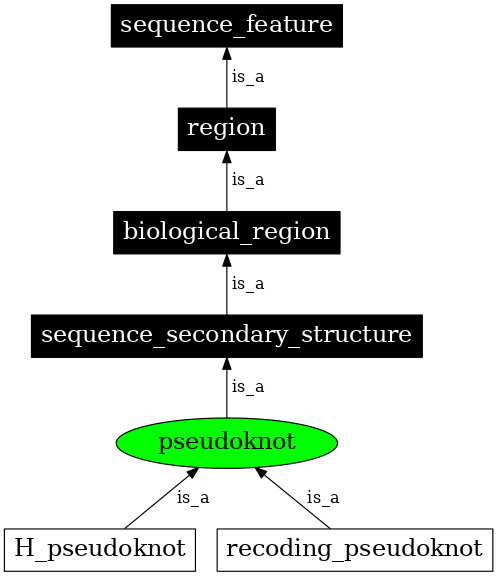 Graph image for SO:0000591