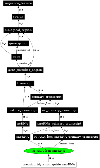 Graph image for SO:0000594