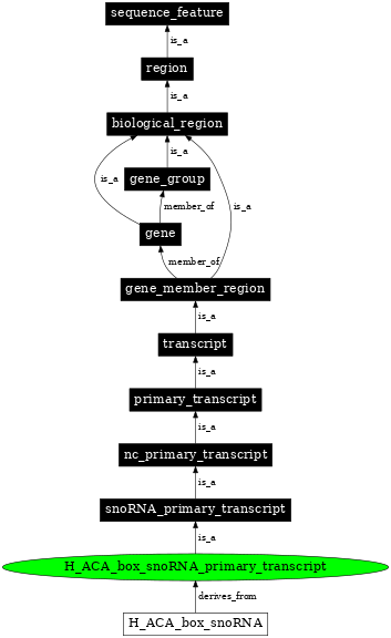 Graph image for SO:0000596