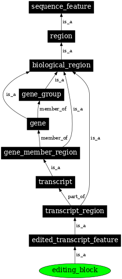 Graph image for SO:0000604