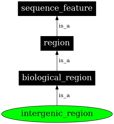 Graph image for SO:0000605