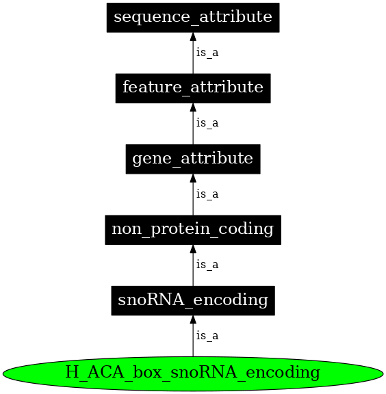 Graph image for SO:0000608