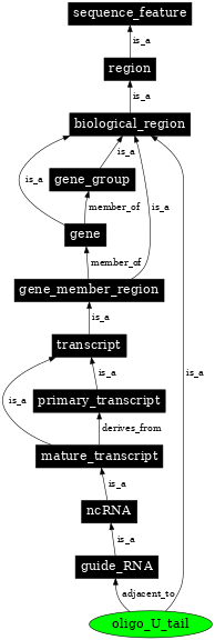 Graph image for SO:0000609