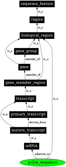 Graph image for SO:0000610