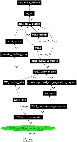 Graph image for SO:0000617