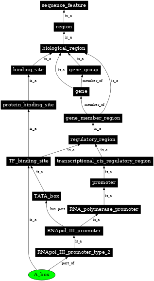 Graph image for SO:0000619