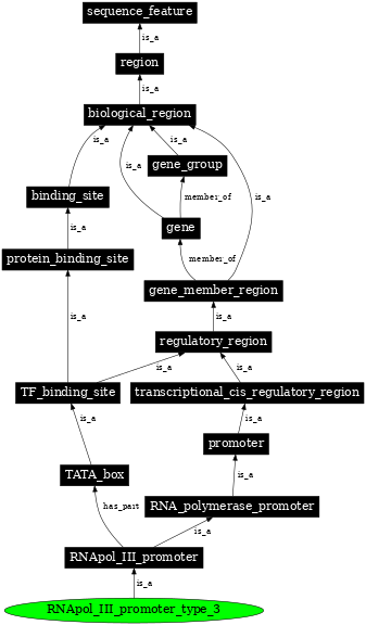 Graph image for SO:0000621