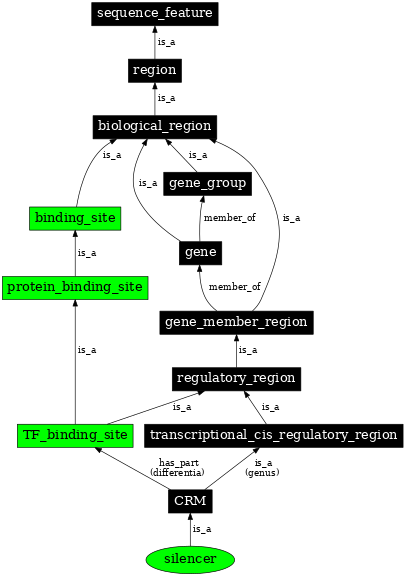 Graph image for SO:0000625