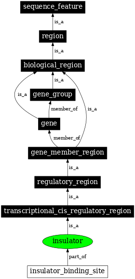 Graph image for SO:0000627