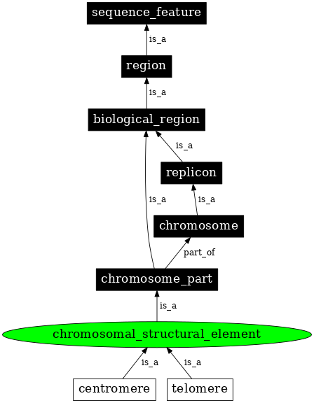 Graph image for SO:0000628