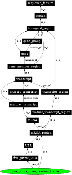 Graph image for SO:0000629