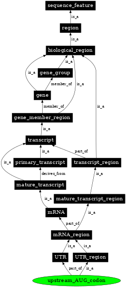 Graph image for SO:0000630