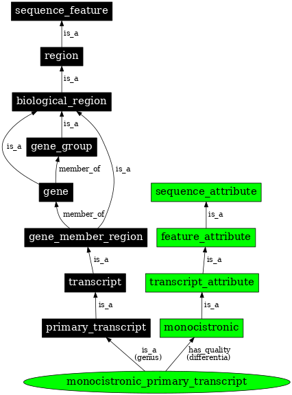 Graph image for SO:0000632