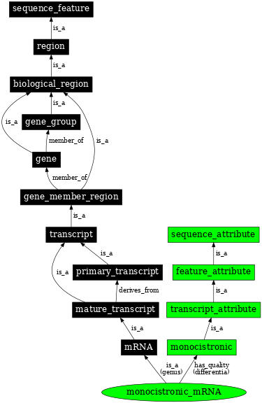 Graph image for SO:0000633