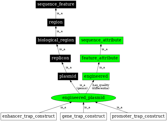 Graph image for SO:0000637