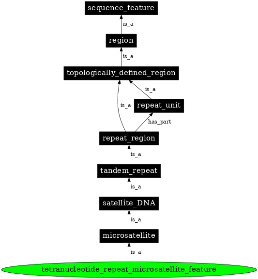 Graph image for SO:0000641