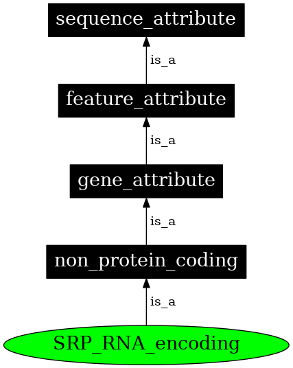 Graph image for SO:0000642