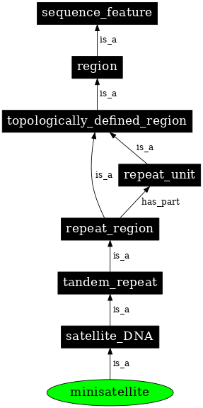 Graph image for SO:0000643