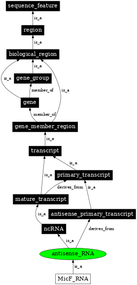 Graph image for SO:0000644