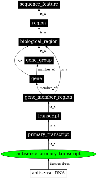 Graph image for SO:0000645