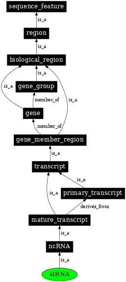 Graph image for SO:0000649