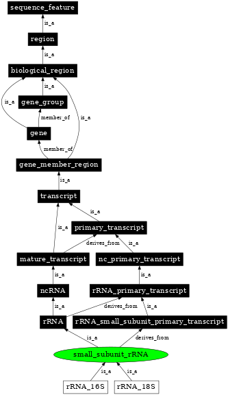 Graph image for SO:0000650