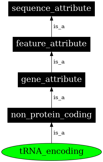 Graph image for SO:0000663