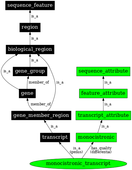 Graph image for SO:0000665