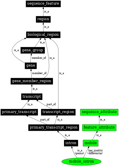 Graph image for SO:0000666