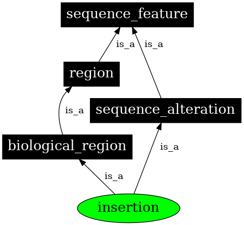 Graph image for SO:0000667