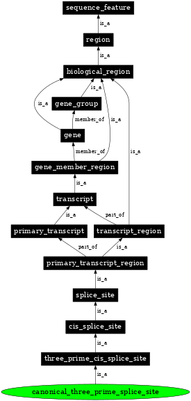 Graph image for SO:0000676