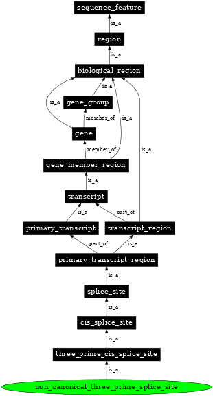 Graph image for SO:0000678