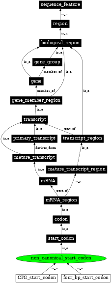 Graph image for SO:0000680