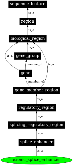 Graph image for SO:0000683