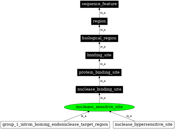 Graph image for SO:0000684