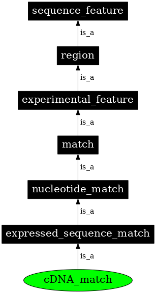 Graph image for SO:0000689